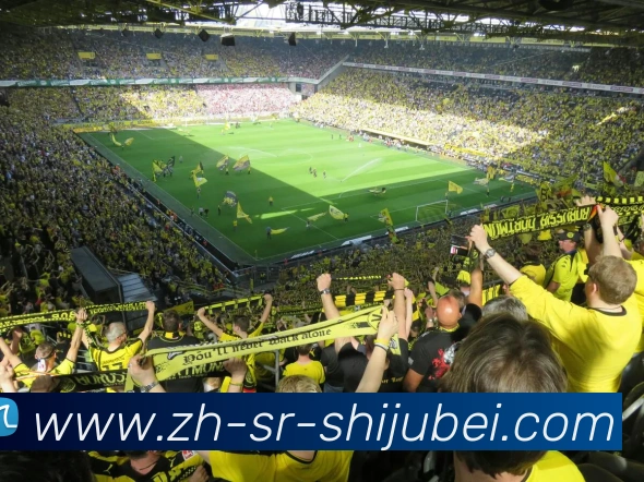 法甲赛季目标制定流程揭秘：管理层与教练组协商机制