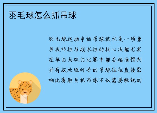 羽毛球怎么抓吊球